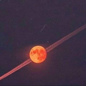 Meet your Posher, Kathleen